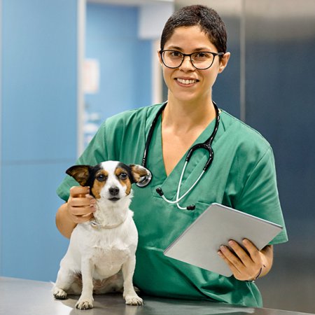 Animal health technician