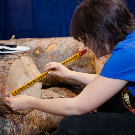 Silviculture and forestry worker