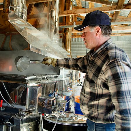 Maple syrup producer