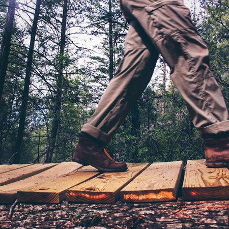 Conservation officer